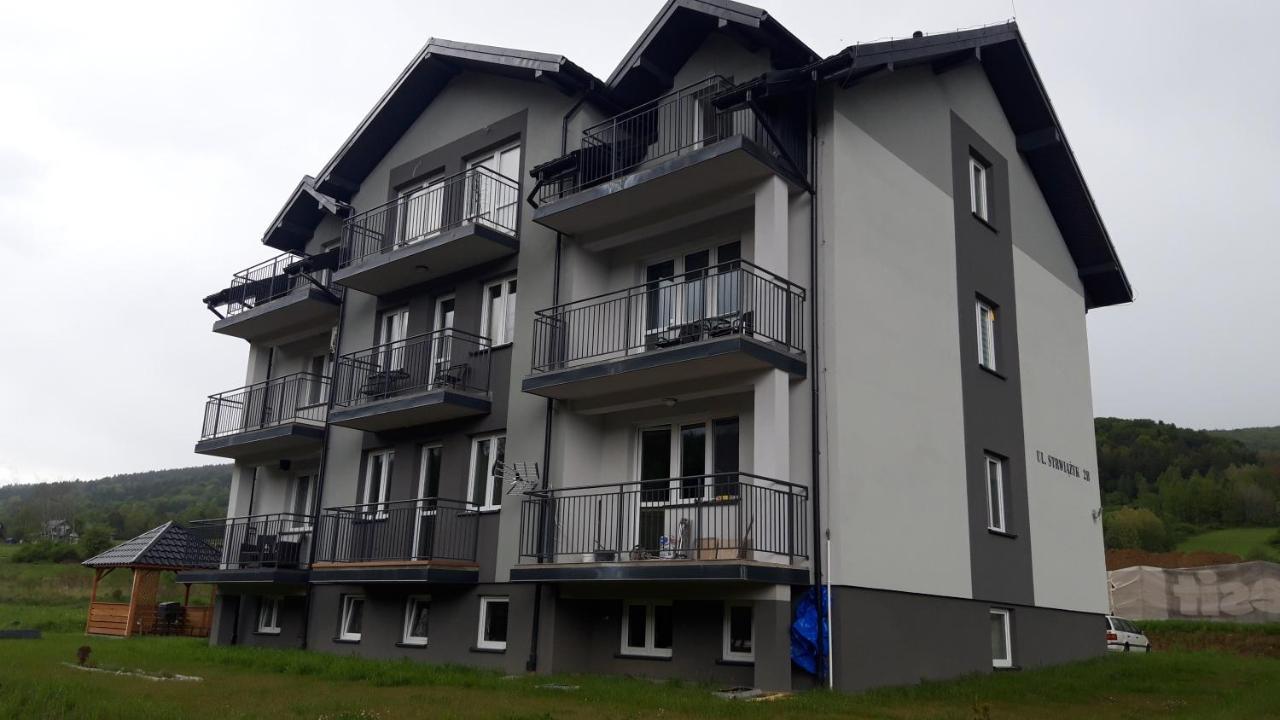 Apartament Wiktoria Ustrzyki Dolne Exterior photo